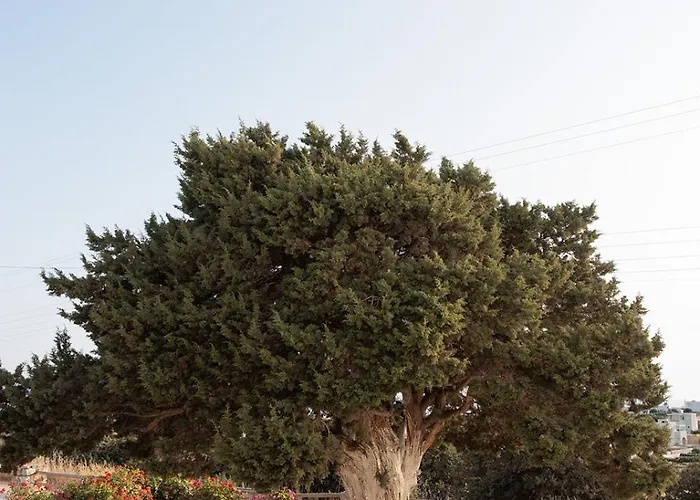 Aurea Blu 02, Sea, Light And Endless Serenity Apartment